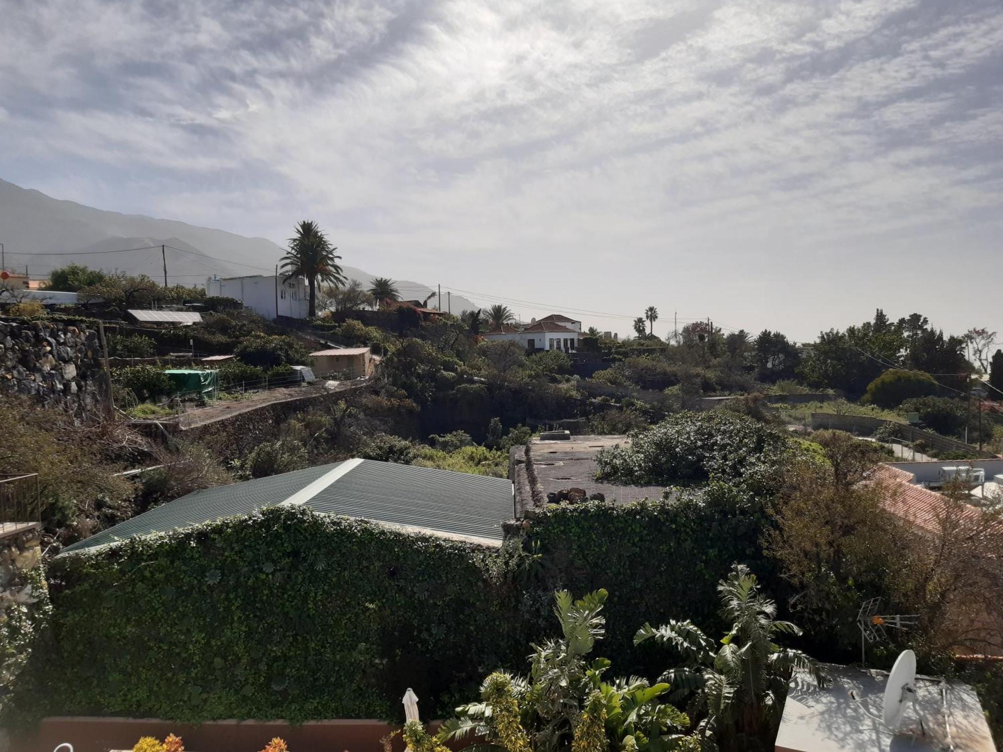Dos Palmas El Paso